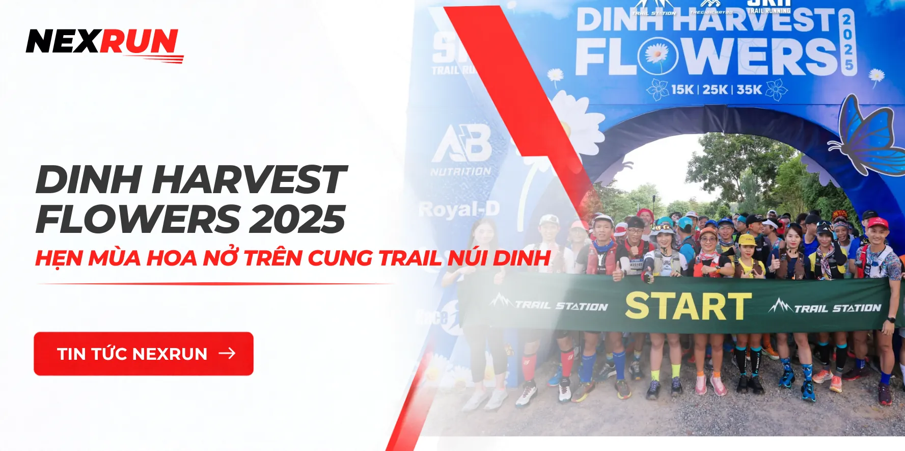 Dinh Harvest Flowers 2025: Hẹn Mùa Hoa Nở Trên Cung Trail Núi Dinh