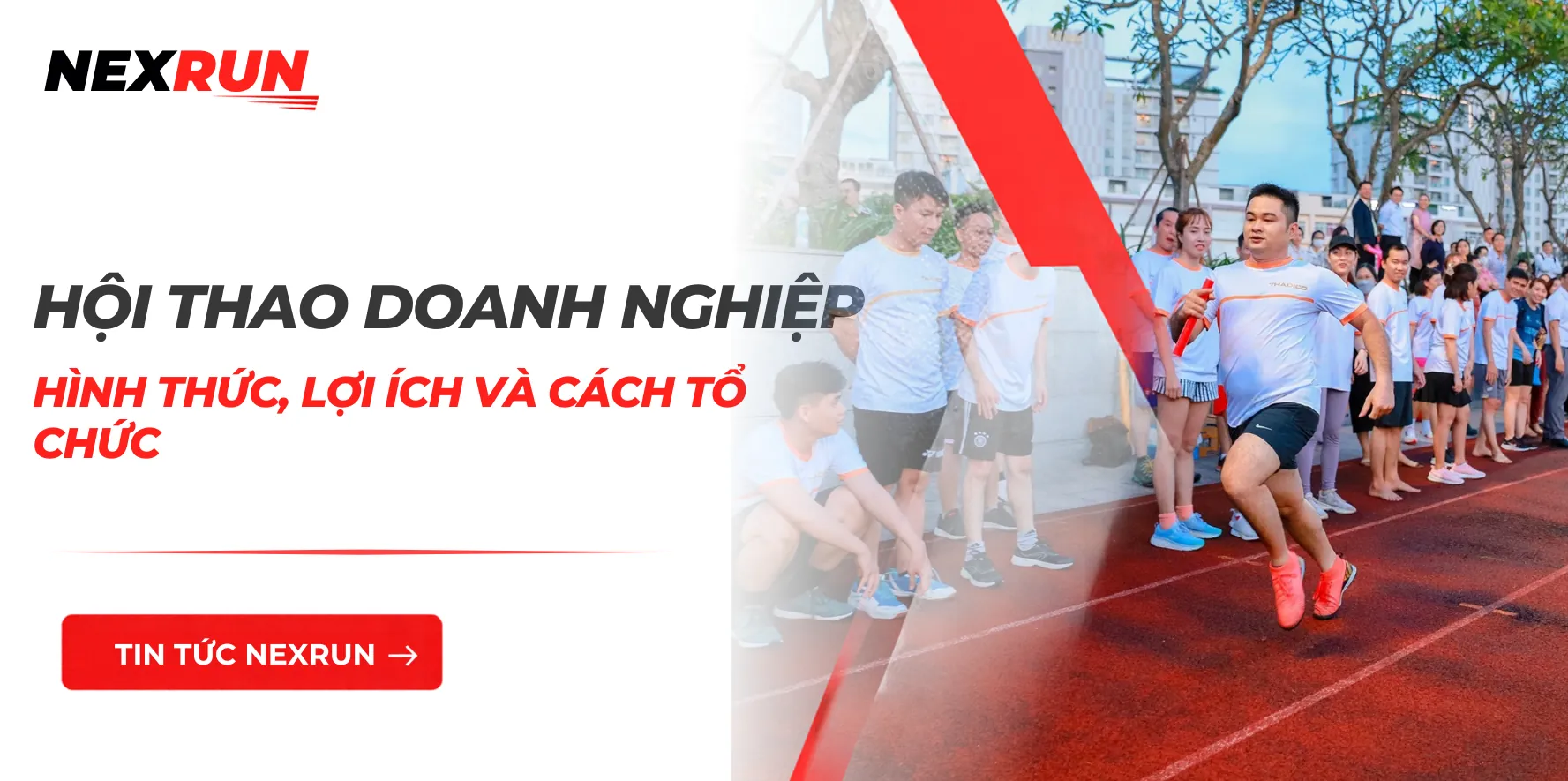 Hội Thao Doanh Nghiệp Là Gì? Hình Thức, Lợi Ích Và Cách Tổ Chức