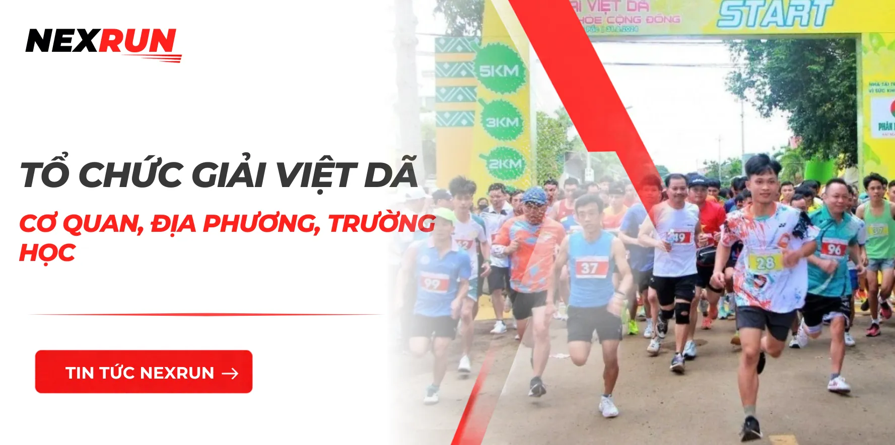 Tổ Chức Giải Việt Dã Cho Cơ Quan, Địa Phương, Trường Học